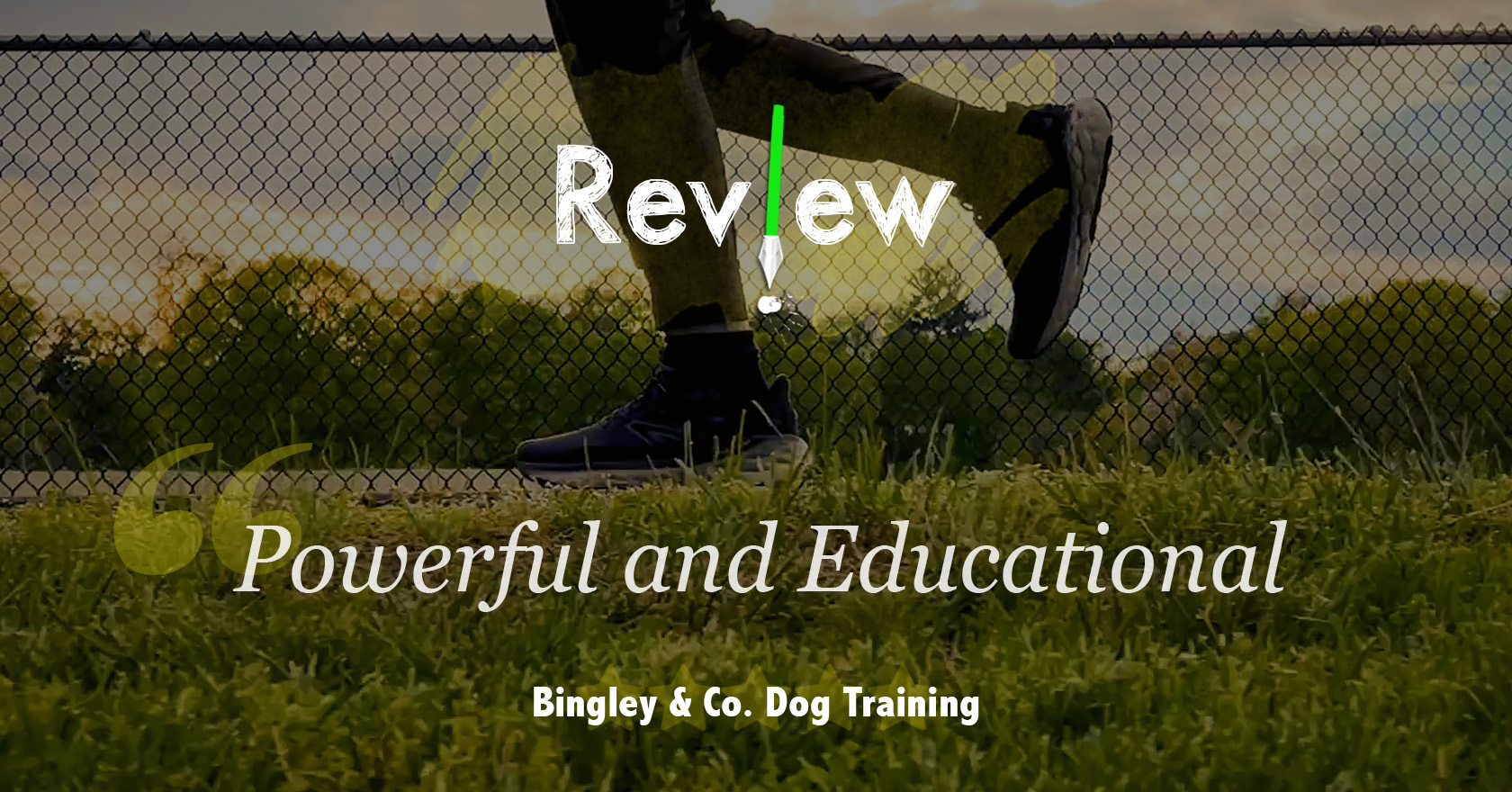 Review by a Service Dog Trainer