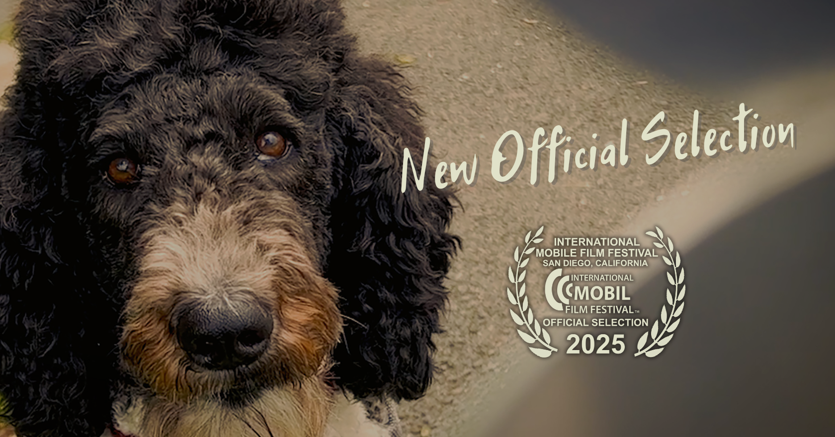 THE SIGN – New Official Selection in San Diego, CA!