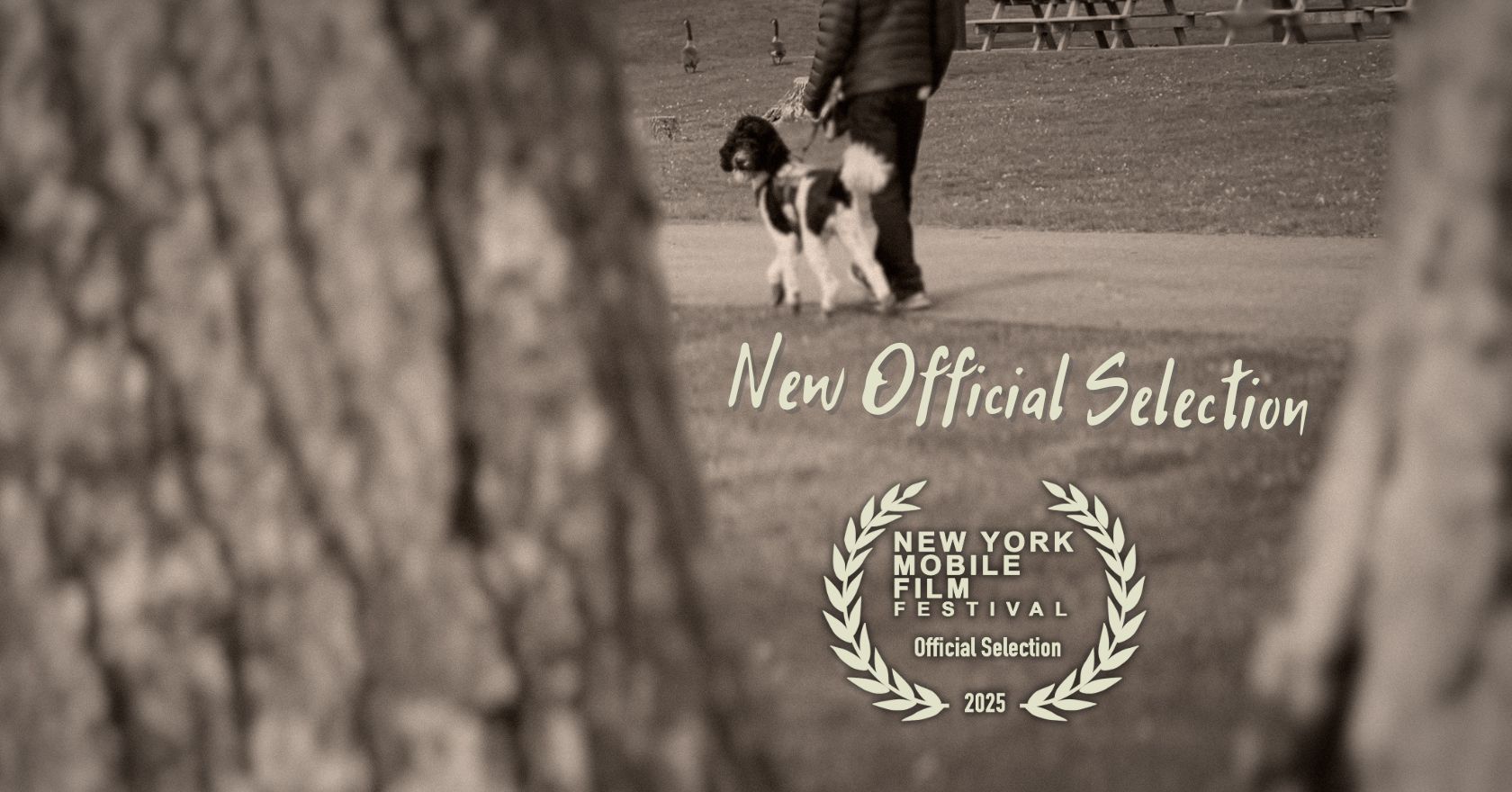 THE SIGN – New Official Selection in NYC!