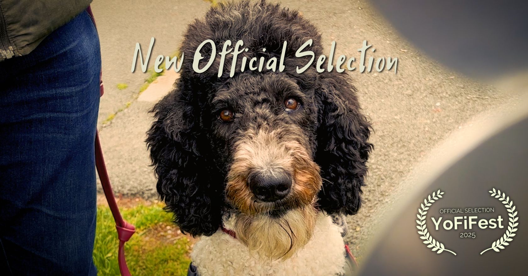 THE SIGN – New Official Selection in NY!