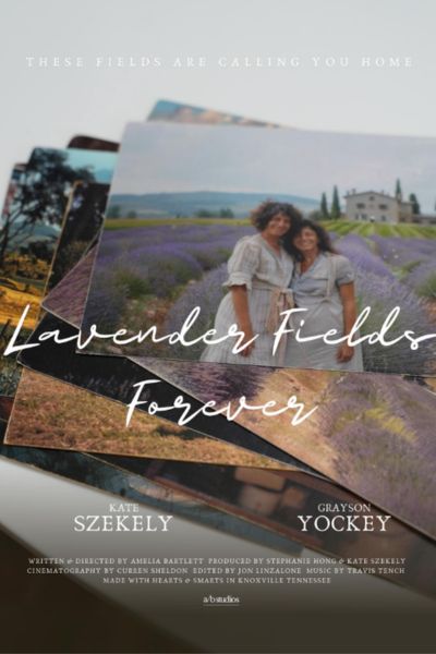Lavender Fields Forever
