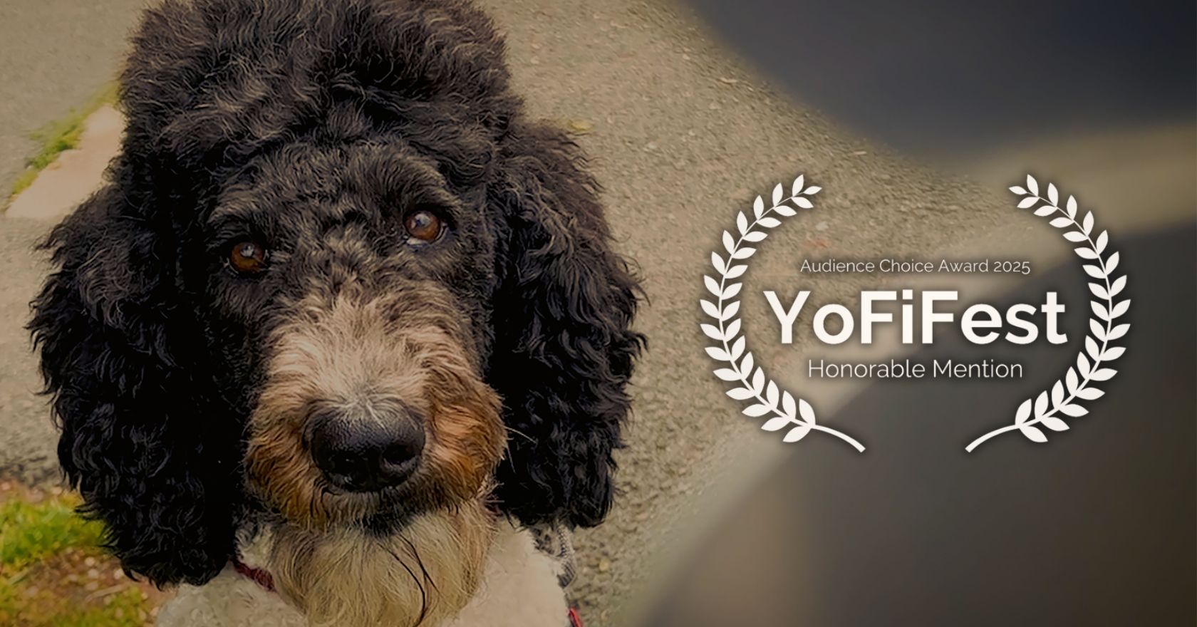 And the award goes to…